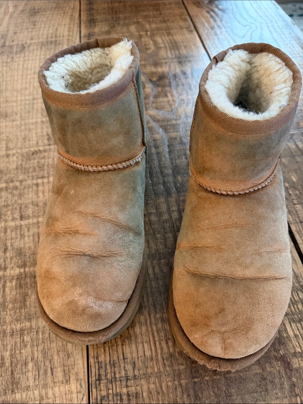 UGG Cozy Shearling Lined Suede Boots - Tan - size 6